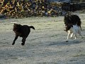 Afb_20160118_11275