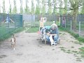 Afb_20160511_28681