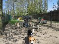 Afb_20160511_28705