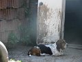 Afb_20160511_28712