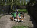 Afb_20160511_28714