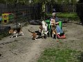 Afb_20160511_28716