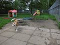Afb_20160602_29081