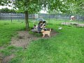 Afb_20160602_29084