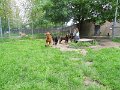 Afb_20160602_29173