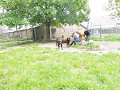 Afb_20160602_29177