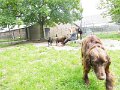 Afb_20160602_29178