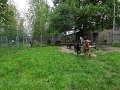 Afb_20160602_29181