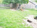 Afb_20160602_29184
