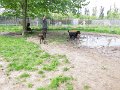 Afb_20160602_29207