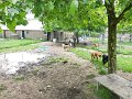 Afb_20160602_29213