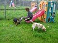 Afb_20160603_29253