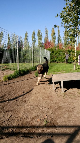 DSC_4082.JPG