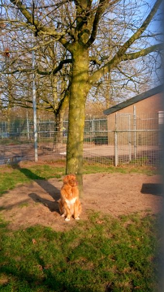 DSC_0165.JPG