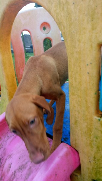 DSC_0538.JPG