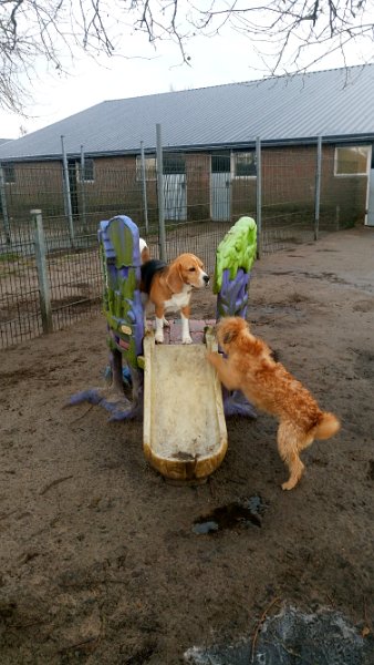 DSC_2146.JPG