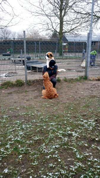 DSC_2379.JPG