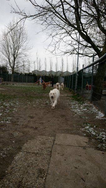 DSC_2403.JPG