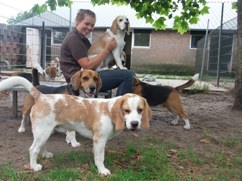 In 't Veld Hondenpension
