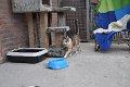 Afb_20160802_32462