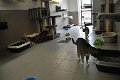 Afb_20160802_32486