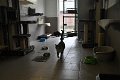 Afb_20160802_32501