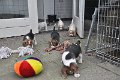 Afb_20120718_18203