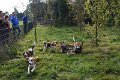 Afb_20161002_36913