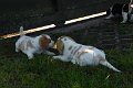 Afb_20170703_42868