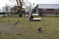 Afb_20180311_51022