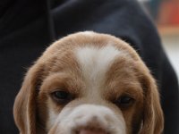 Afb 20190522 toto (4)