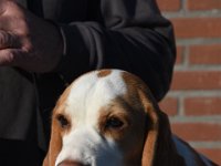DSC 6483 toet