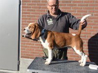 DSC 6496 stitch
