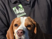 DSC 6502 stitch