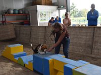 Afb 20200823 3013