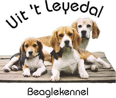 In 't Veld Beagles, Kennel Uit 't Leyedal