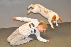 In 't Veld Beagles