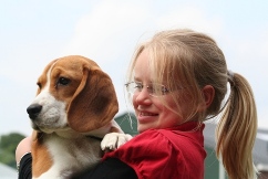 In 't Veld Beagles