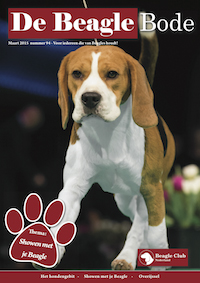 In 't Veld Beagles