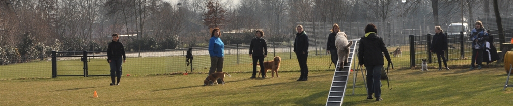 Hondentraining