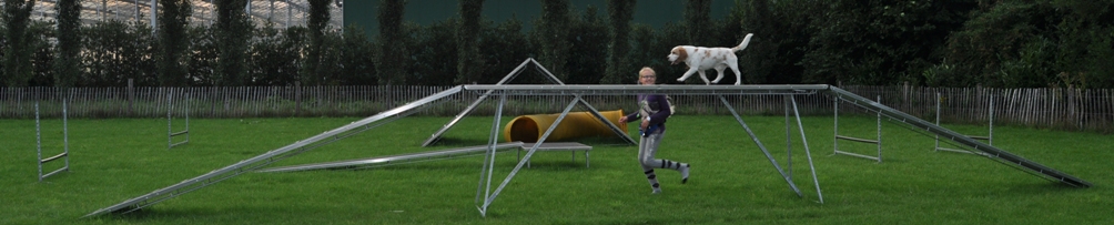 Hondentraining