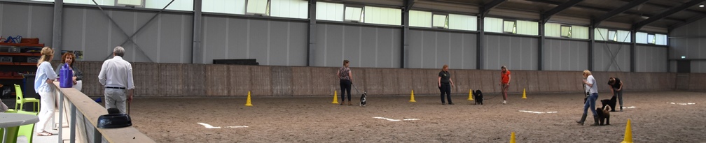 Hondentraining