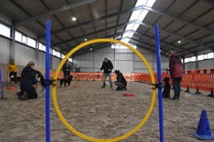 In 't Veld hondentraining