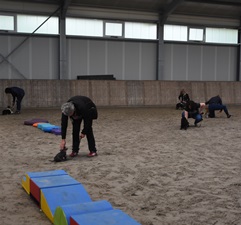 In 't Veld hondentraining