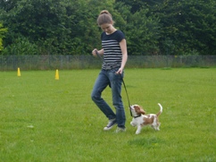 In 't Veld hondentraining