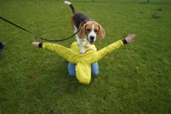In 't Veld hondentraining