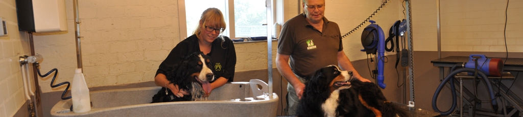 Honden trimsalon